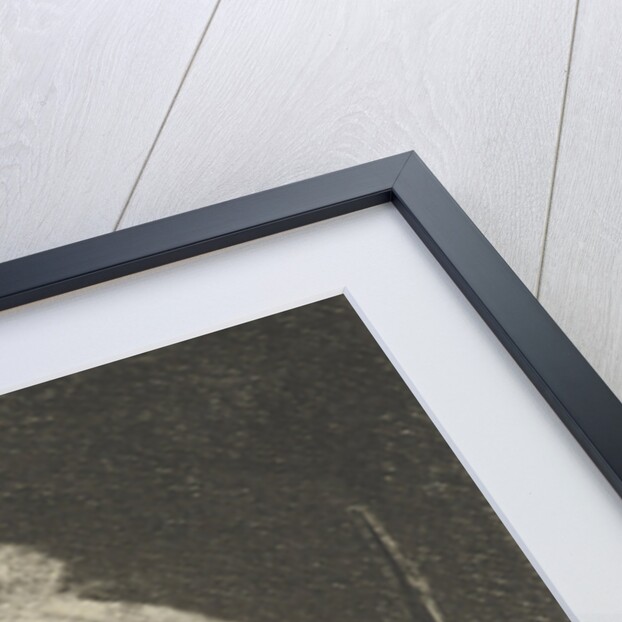 Head of a ram with twisted horns backward by Jacobus Cornelis Gaal