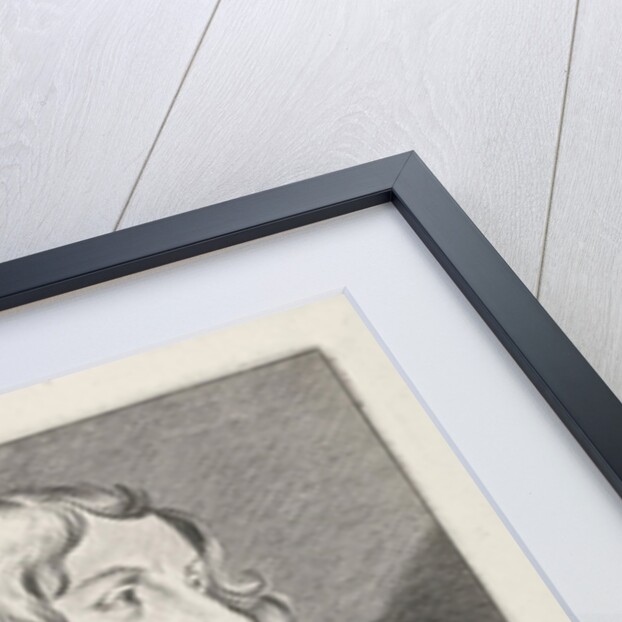 Portrait of Abel de Servien by Pieter Nolpe