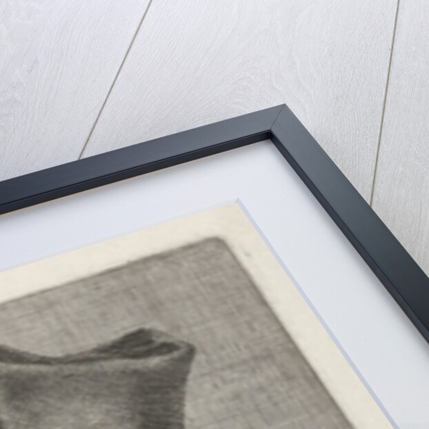 Portrait of Joseph de Bergaigne by Pieter Nolpe