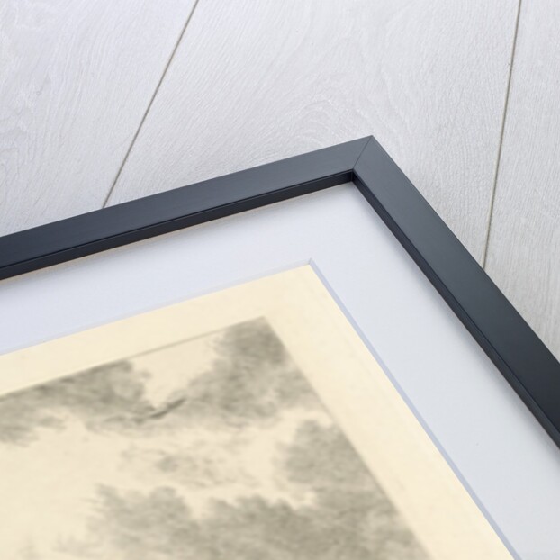 Taurus and farmer by Paulus Potter