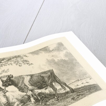 Taurus and farmer by Paulus Potter