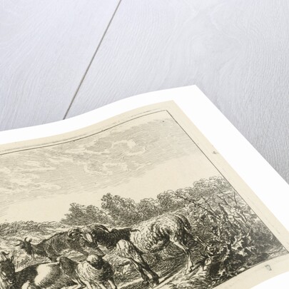 Four goats and sheep at home by Johannes Mock