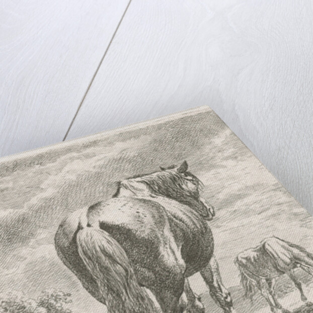 A horse is seen obliquely from behind, In the background a grazing horse by Johannes Mock