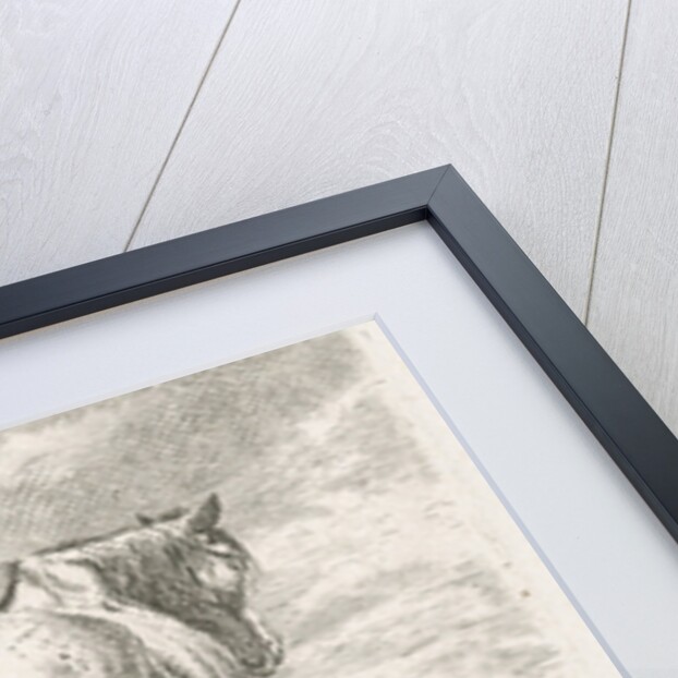 A horse is seen obliquely from behind, In the background a grazing horse by Johannes Mock