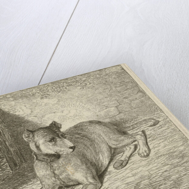 Dog on a chain in a doghouse, For him a bone, Bottom left numbered 2 by Johannes Mock