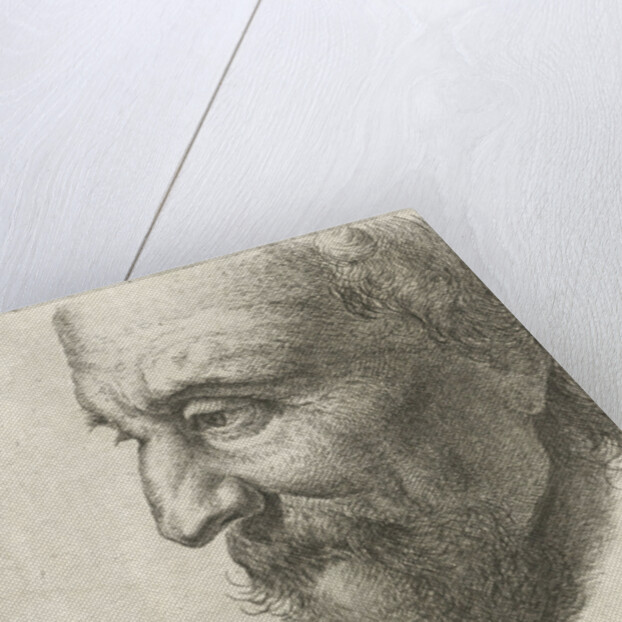 Face of an old man in profile by Johannes Mock