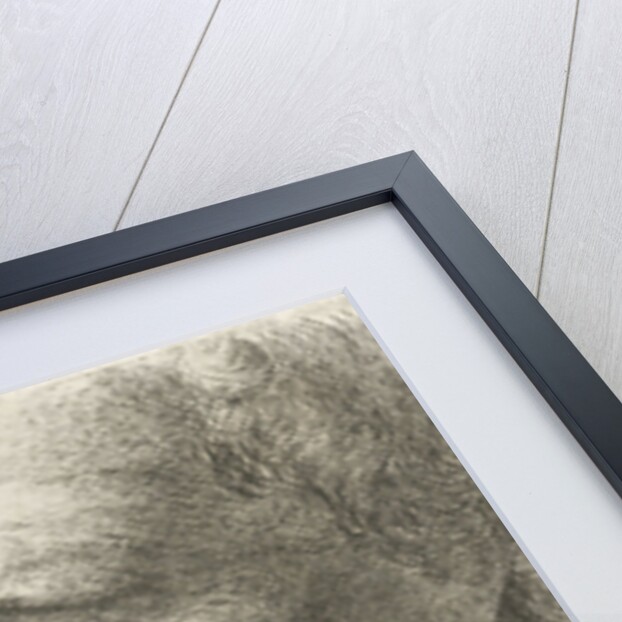 Face of an old man in profile by Johannes Mock