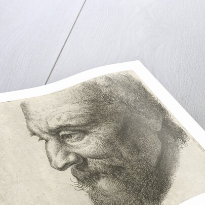 Face of an old man in profile by Johannes Mock