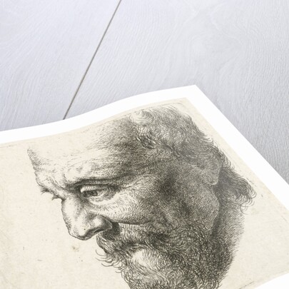 Face of an old man in profile by Johannes Mock