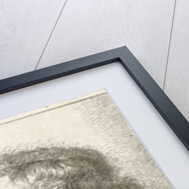 Old man with beard by Rembrandt Harmensz. van Rijn