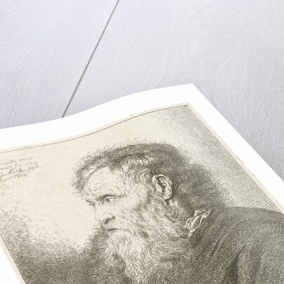 Old man with beard by Rembrandt Harmensz. van Rijn