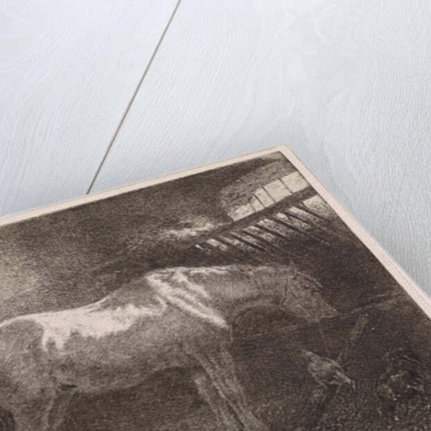 Horse in stable by Jan Vrolijk