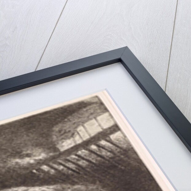 Horse in stable by Jan Vrolijk