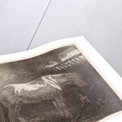 Horse in stable by Jan Vrolijk