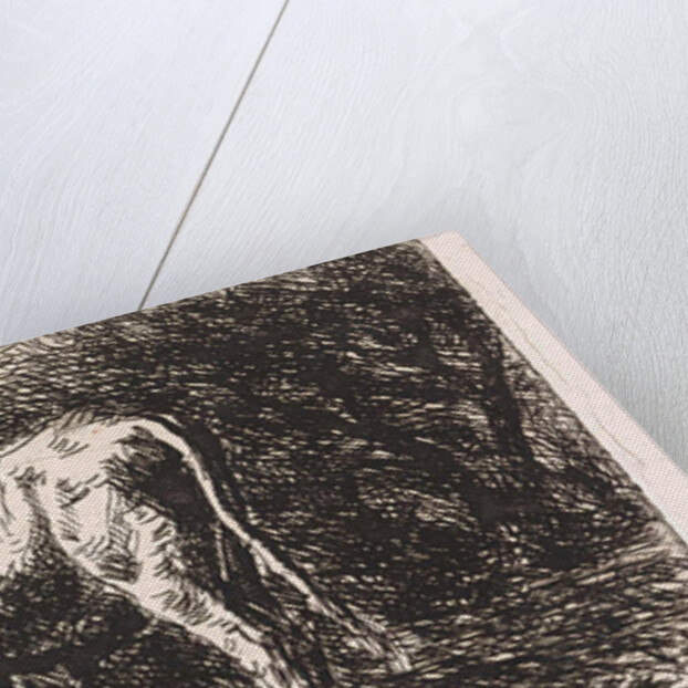 Cow on the bank of a river by Jan Vrolijk