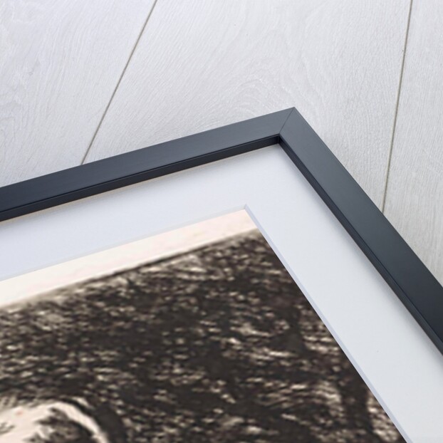 Cow on the bank of a river by Jan Vrolijk