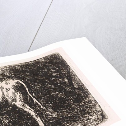 Cow on the bank of a river by Jan Vrolijk