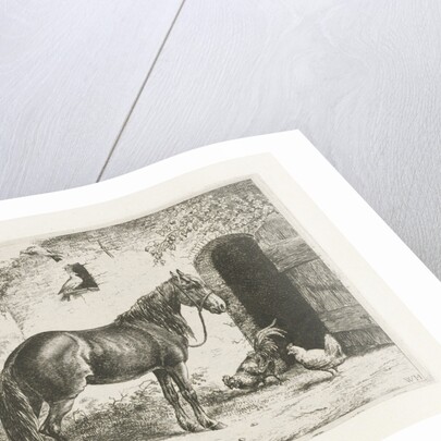 Horse with Halter by Christiaan Wilhelmus Moorrees