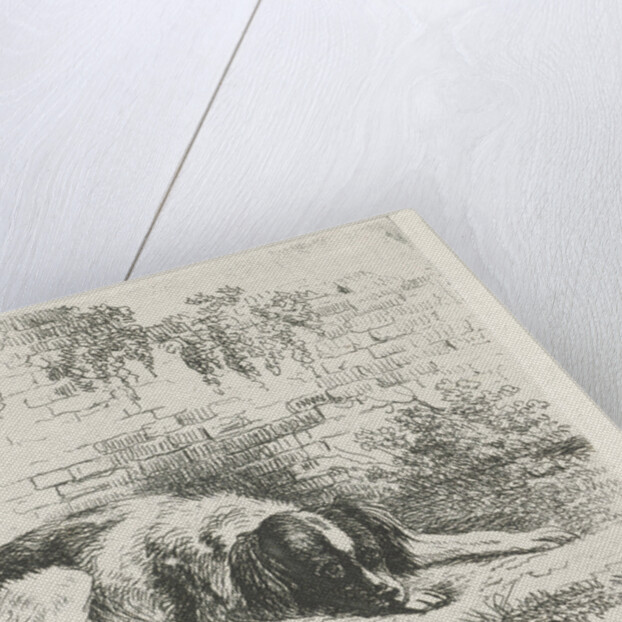 Reclining dog in front of a wall by Christiaan Wilhelmus Moorrees