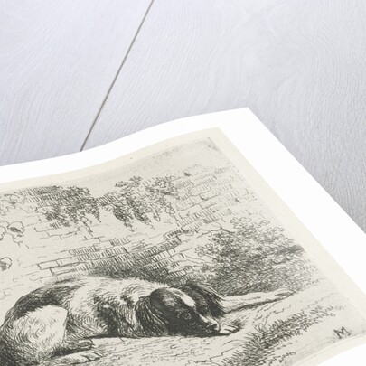 Reclining dog in front of a wall by Christiaan Wilhelmus Moorrees
