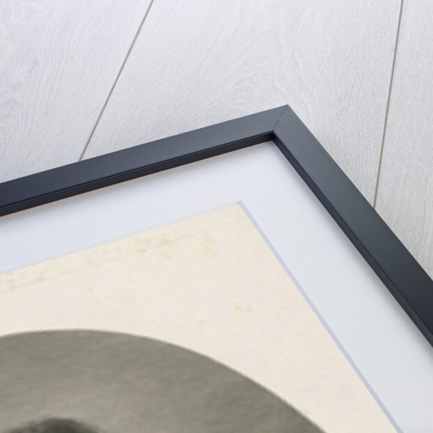 Female nude by Johannes de Mare