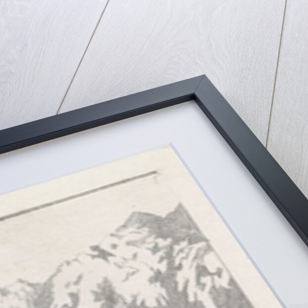 View of the Col du Géant by Marinus van Raden