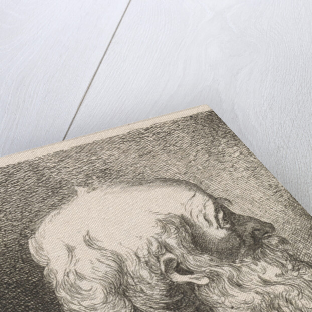 Portrait of an old man by George Jooss