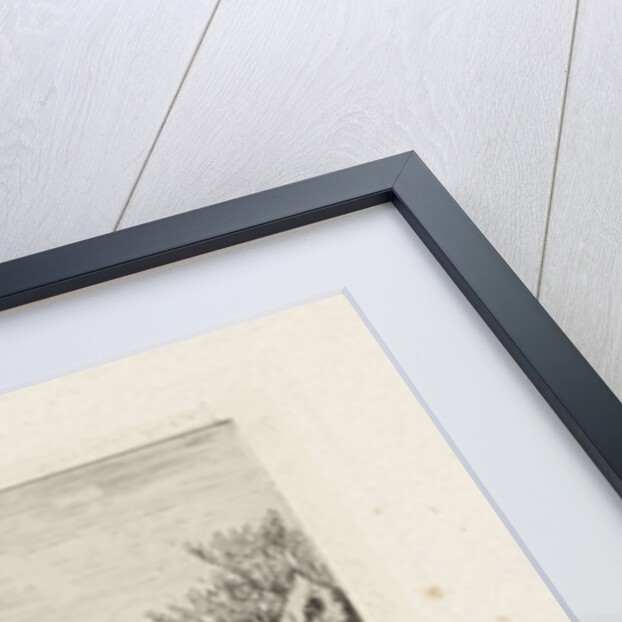 strider in a mill by Joseph Hartogensis