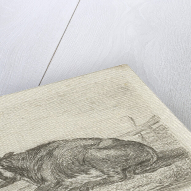 Lying cow by Pieter Gaal