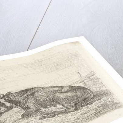 Lying cow by Pieter Gaal