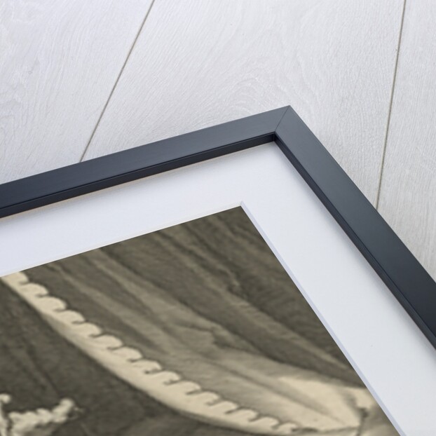 Death of Lucretia by Cornelis Danckerts I