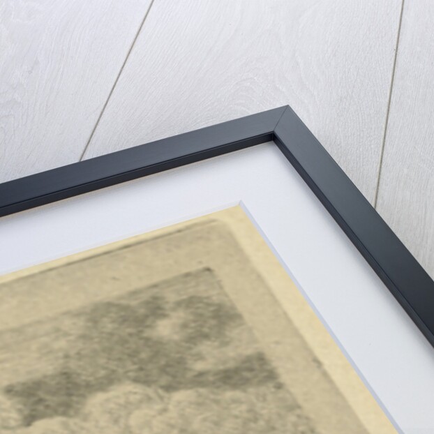 Napoleon to fallen soldiers by Gerardus Emaus de Micault