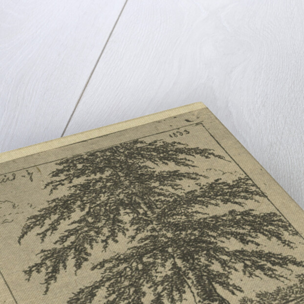 Under a beech a hunter aims his rifle at a duck by Gerardus Emaus de Micault