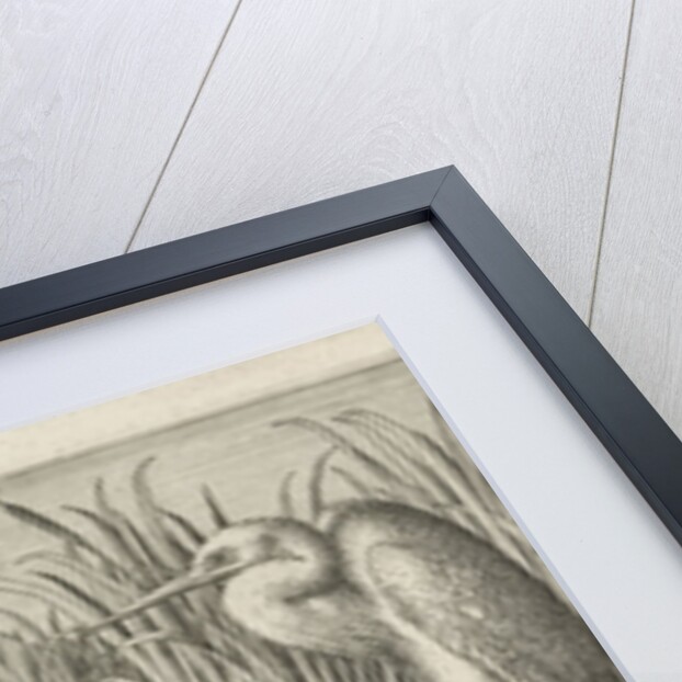 Storks and ducks at a pond by Jan van Londerseel