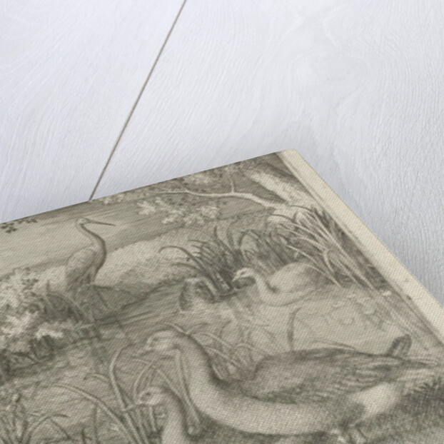 Waterfowl in a pond by Jan van Londerseel