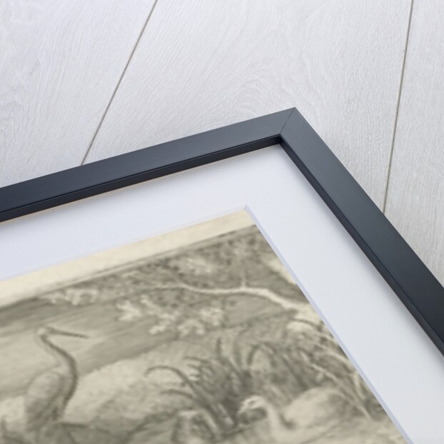 Waterfowl in a pond by Jan van Londerseel