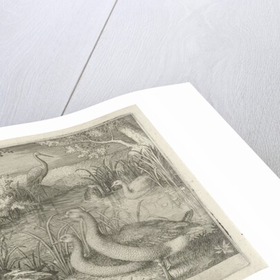 Waterfowl in a pond by Jan van Londerseel