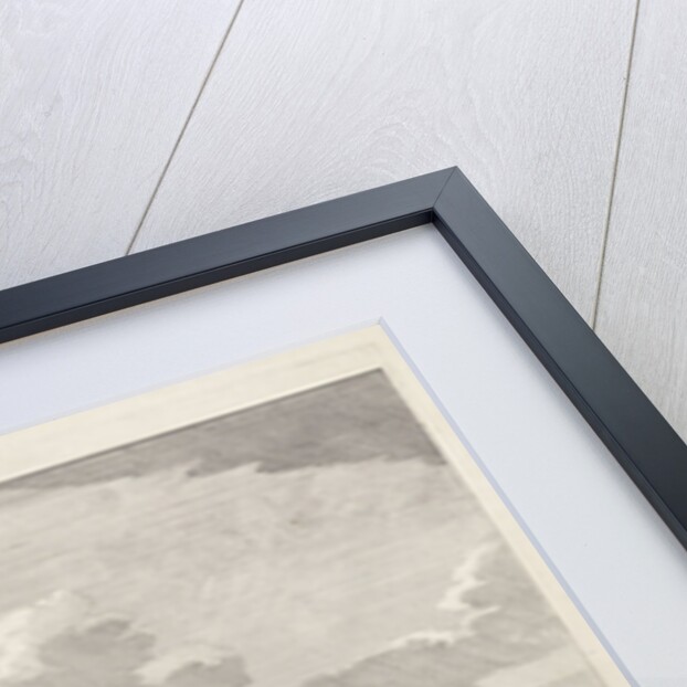 Siege of Haarlem, 1572-1573 (left page) by Bernardus Kleynhens