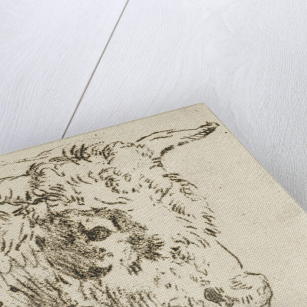 Head of a cow by Anthonie van den Bos