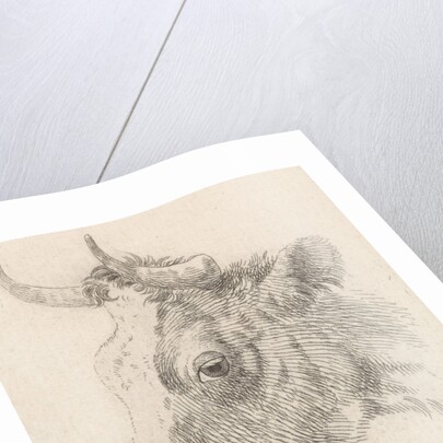 Head of a bull by Dirk van Oosterhoudt