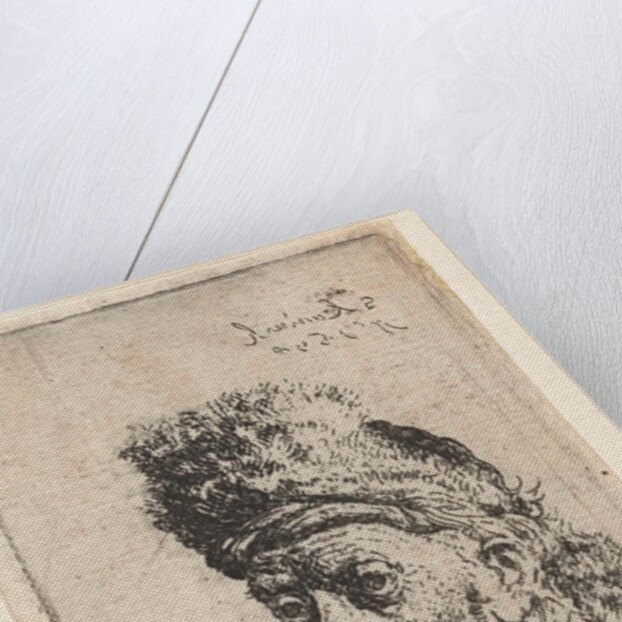 Bust of a man with fur hat by Salomon Koninck