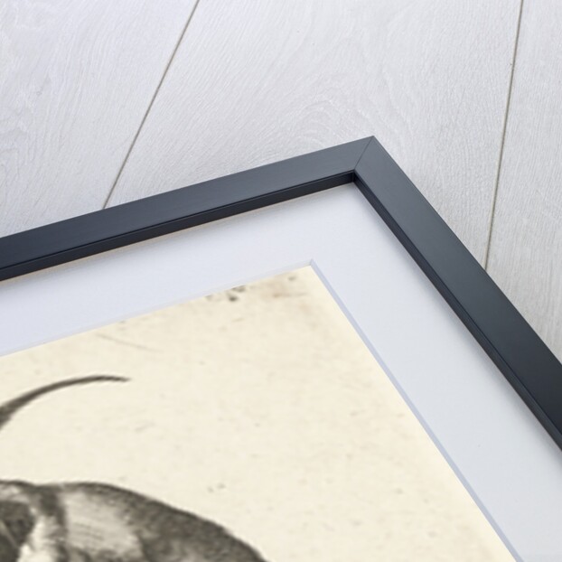 Two monkeys smoking a pipe by Anonymous