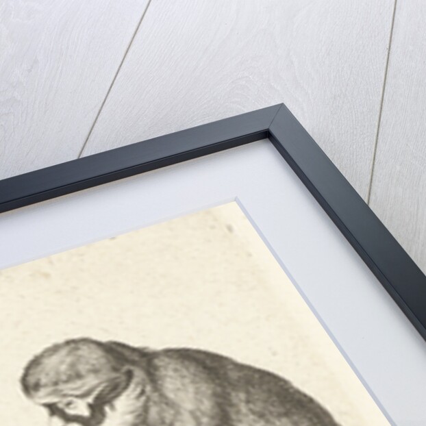 Two monkeys cards by Anonymous