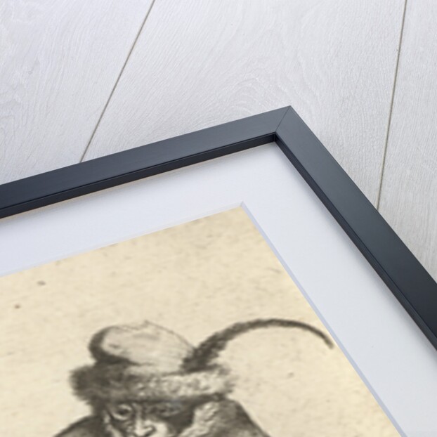 A monkey by David Teniers II