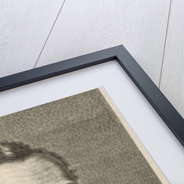 Portrait of Philip of Mr. Marnix of St Aldegonde by Geeraert Brandt I