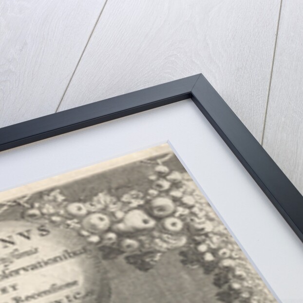 Minerva and two chained figures by Adriaen Wijngaerden