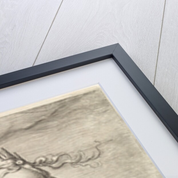 Juno by Claes Jansz. Visscher II