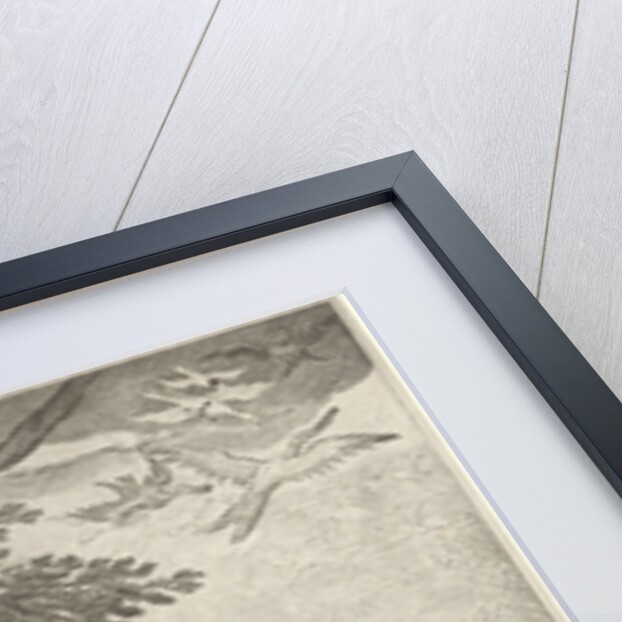 Adam stands in the foreground, around him all kinds of animals by Jan Saenredam