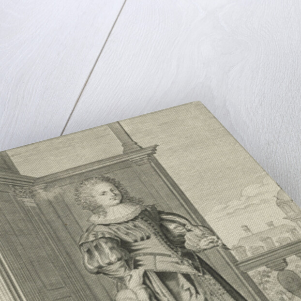 Falconer Star by Lodewijk XIII