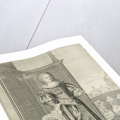 Falconer Star by Lodewijk XIII